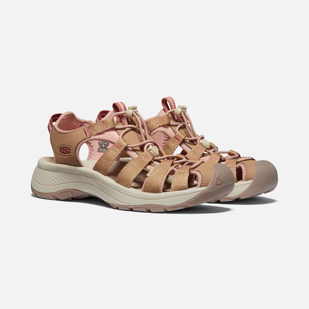 Sandales Keen Femme Kaki | Astoria West | BUEIZ-8260